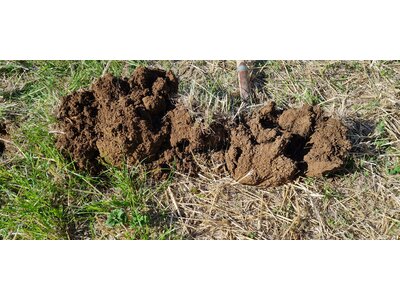 Terralife® - CerealPro-8