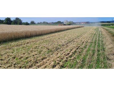 Terralife® - CerealPro-7