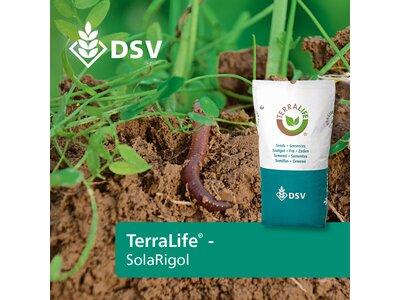 TerraLife® - SolaRigol-0