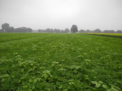 TerraLife® - AquaPro-2