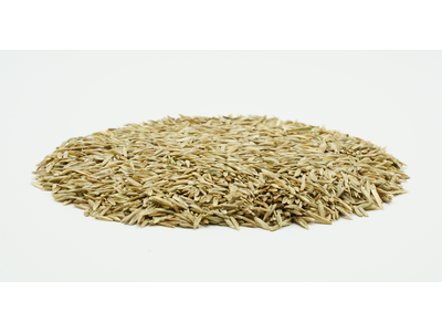 COUNTRY G 2462 Organic-2