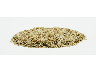 COUNTRY G 2464 Organic-2