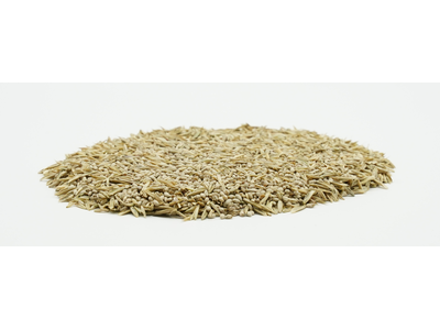 COUNTRY F 2481 Organic-2