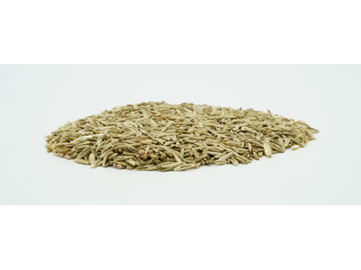 COUNTRY F 2487 Organic-2