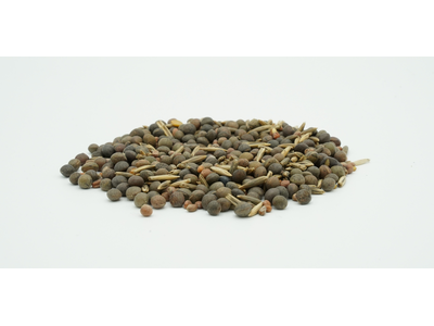 TerraLife® - BetaSola-6