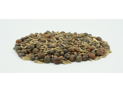 TerraLife® - BetaMaxx TR-5