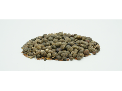 TerraLife® - SolaRigol-5