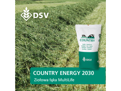 COUNTRY Energy 2030-0
