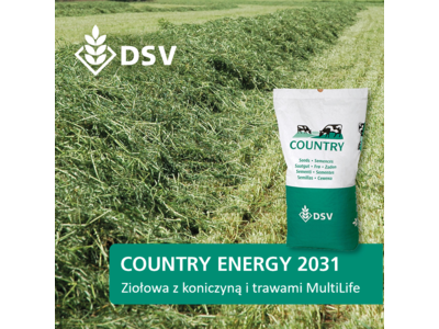 COUNTRY Energy 2031-0