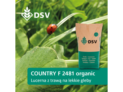 COUNTRY F 2481 Organic-0
